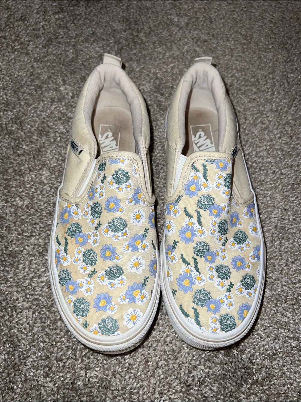 Kids Vans Asher Sneaker